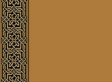 tapis superwiltax camii